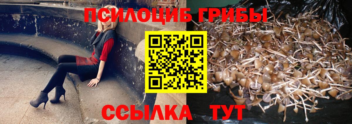 магазин продажи наркотиков  Псилоцибиновые грибы Magic Shrooms  Сегежа  Вход с VPN  Галлюциногенные грибы Psilocybine cubensis 